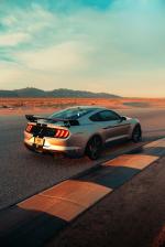 Ford Mustang Shelby GT500 2019 года